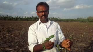 Answers for water divining using neem stick _ ground water