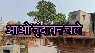 आओ वृंदावन चले || aao Vrindavan chale @mangeyramsharma