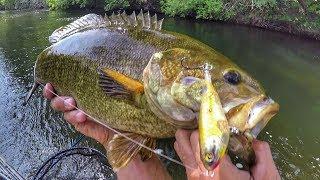 Whopper Ploppin' Some River Chunks