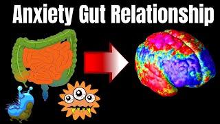 Anxiety & Gut Relationship! Our Gut is the 2nd Brain!