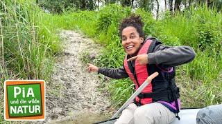 Spurensuche in den Flussauen | Reportage für Kinder | Pia und die wilde Natur