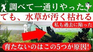 【盲点だった】水草が育たない人が今すぐやるべき5つのこと