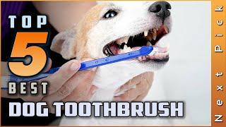 Top 5 Best Dog Toothbrushes Review in 2024 | Don’t Buy Before Watching This