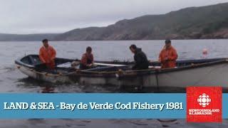 Land & Sea - Bay de Verde Cod Fishery - Full Episode (1981)