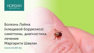 Болезнь Лайма (клещевой боррелиоз): симптомы, диагностика, лечение