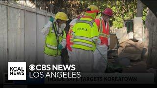 Inside Safe Program makes push to get people off the streets in Koreatown