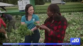 This NJ Family Farm Epitomizes ‘Jersey Fresh'