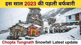 Finally Chopta me bhi Snowfall ho gaya | Chopta Snowfall 2023 | Tungnath Temple Snowfall 2023 |