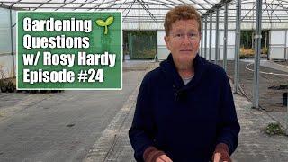 Cut Back Peonies & Salvia Now? Avoid Autumn Planting?? | Gardening Questions w/ Rosy Hardy