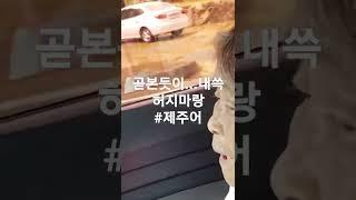 2022년 5월 28일