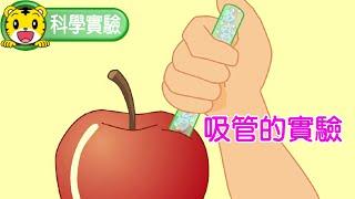 巧連智【科學小實驗】吸管的實驗  #科學 #實驗 #育兒 #親子生活 #動畫 #卡通