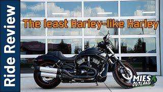 A Harley Like No Other | 2008 VROD Night Rod Special Review