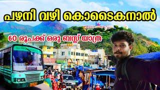 പഴനി വഴി കൊടൈകനാലിലേക്ക്  | kodaikanal palani budget trip | Kodaikanal trip #kerala #kodaikanal