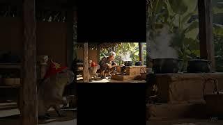 Lão Và Capy | Capybara phụ ông lão nấu cơm trưa... #veo3 #viral #funny