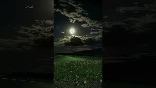 Beautiful Moon | Beautiful Night #moon #night #scenery