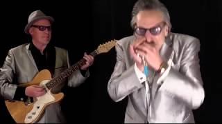 Chicago Shuffle - Rick Estrin