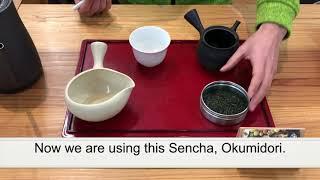 How to brew sencha (Japanese green tea) - d:matcha Tea School