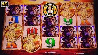 I Won HUGE After Losing It All on Buffalo Gold