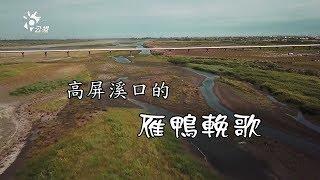 【鳥類保育】高屏溪口的雁鴨輓歌｜候鳥中毒危機(我們的島 第996集 2019-03-18)