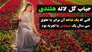 #حباب #گل #لاله #هلندی. گلی که یک شاخه آن برابر با #حقوق سی #سال یک #مهندس با #تجربه بود