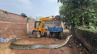 Snake Show The JCB Driver | Attack On Dtiver Loading Mud in Snake Areas #snake #snakevideo