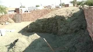 11.50 Rs.Kg. New Hari Patti ... mo.- 9252441755 Beniwal Pashu Aahar Holsel Bhandar Nagaur, (Raj.)
