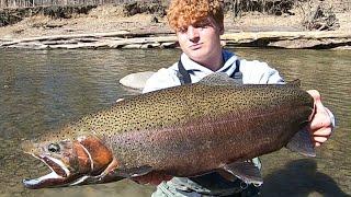 CENTERPIN FISHING STEELHEAD ALLEY