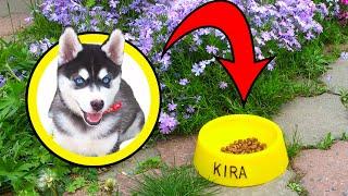 3d printed pet bowl for my Puppy Husky