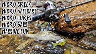 Micro Creek, Micro Lures, Micro Bass   MASSIVE FUN