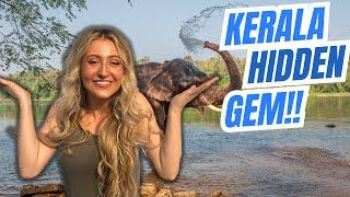 Munnar, Kerala HIDDEN GEM! (we can't believe we found this)| Foreigners travel Kerela vlog 2024