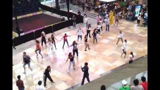 The 'Gleek Club' Flash Mob @ Festival Square