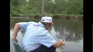 Shooting Bait & Aspirin
