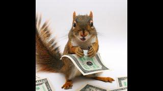 Financial Fun Facts - Unleash Your Inner Money Guru: Become a Money-Savvy Squirrel Today!