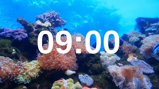 9 Minute Timer Relaxing Music Lofi Fish Background