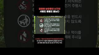 [심층3] "만졌다간 큰 일"…가까이 하긴 너무 먼 '너구리'