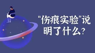 “伤痕实验”说明了什么？