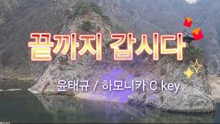 끝까지 갑시다_윤태규/4k/하모니카 C key/선재작은농장tv