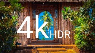 4K||HDR||Beach Cinematic Video||Goa||