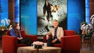 Elliot Page Renames Ellen DeGeneres' Dogs
