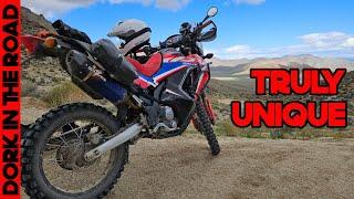 Honda CRF300L Rally 1 Year Review: There's NOTHING Else Like It...