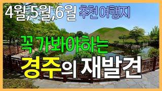 경주 추천 여행지 | 겹벚꽃이 만개한 불국사부터 동궁과월지의 야경 감상까지 | 불국사, 대릉원, 황리단길, 첨성대, 계림, 동궁원, 동궁과월지 (안압지)