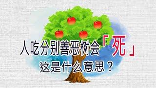 〔创世记疑难解答〕10 人吃分别善恶树会「死」这是什么意思？