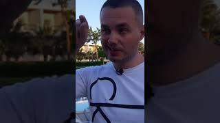 Как быть счастливым, жить в изобилии? ИДЕАЛ-метод Тойча (Полное видео в описании) #shorts