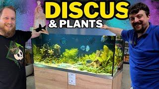 Fish and plants added to our 400L aquarium! My old aquarium shop! Part 2
