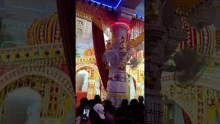 किसको दर्द सुनाएं अपना खुशियां किस्से बाटें  #krishna #shorts #bhakti#rohitpk335 #travel