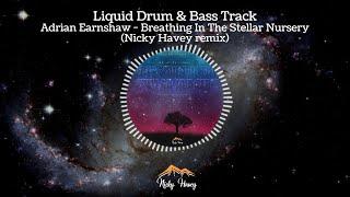  Liquid Drum & Bass - Adrian Earnshaw - Breathing In The Stellar Nursery (Nicky Havey Remix) 