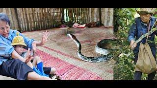 The Elephant Boy and his aunt were startled when they saw a big snake in the house