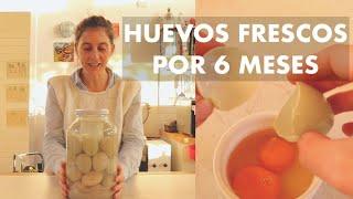 QUÉ!??  Conservar huevos crudos por 6 Meses! Método antiquísimo de Conserva #SoberaniaAlimentaria