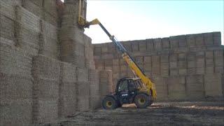 Loading the straw lorry with the JCB 535 95