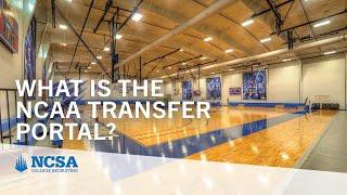 What is the NCAA Transfer Portal? How Does It Work?